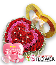 �󼼳��뺸��