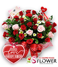 �󼼳��뺸��