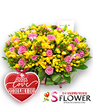 �󼼳��뺸��