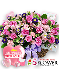 �󼼳��뺸��